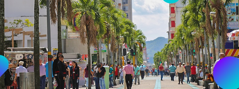 Encuesta de Ibagué Cómo Vamos 2017