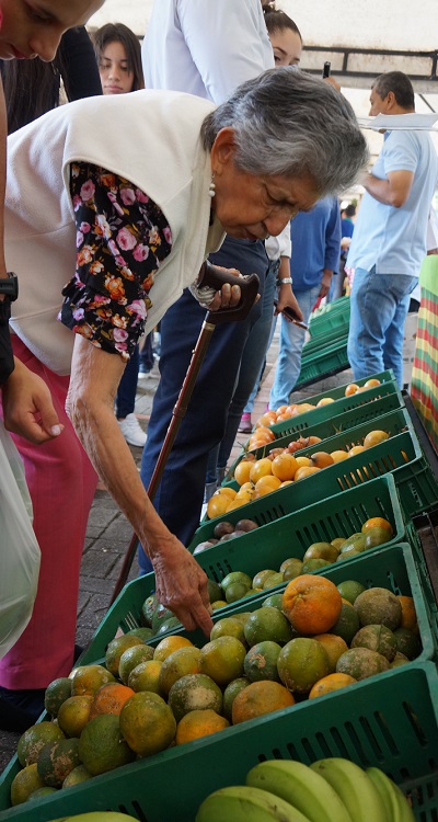 sector agrícola del Tolima