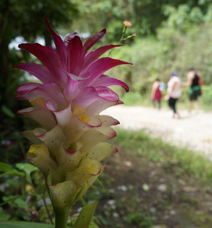 Imagen naturaleza - medio ambiente