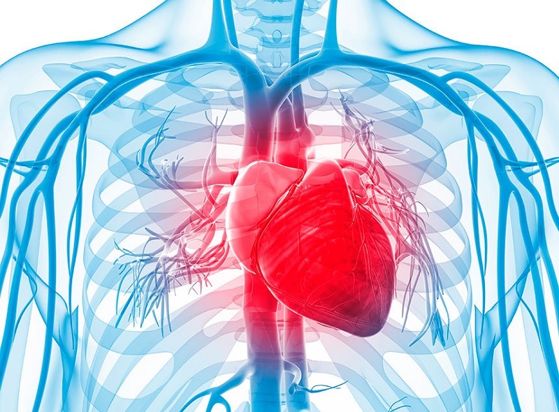 Enfermedades cardiovasculares